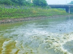 保定竞秀区污水清运多少钱